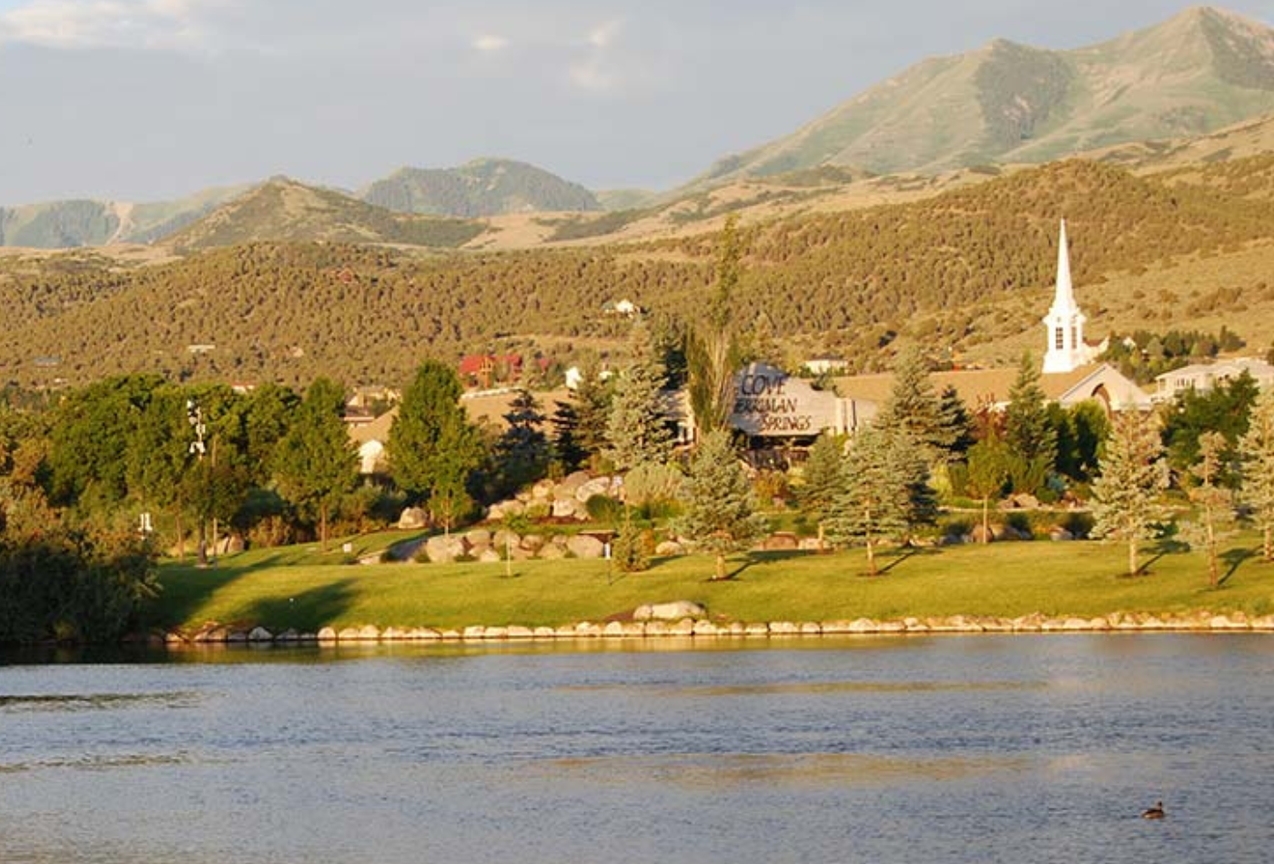 The Cove